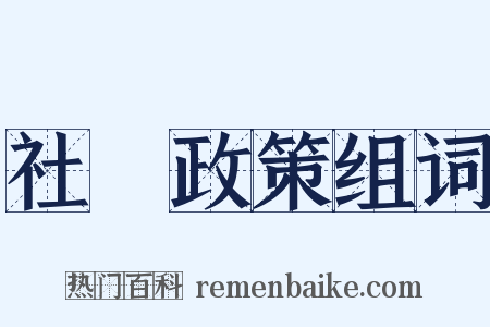 社會政策组词是什么意思的图片